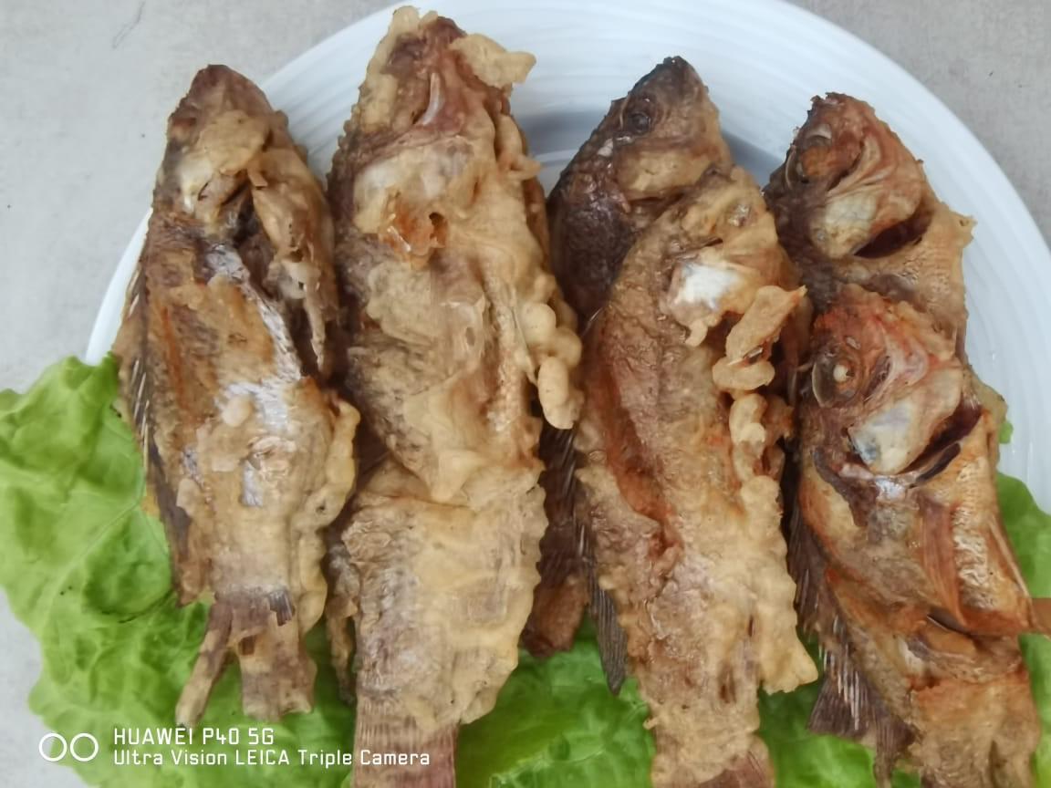 Poisson frits