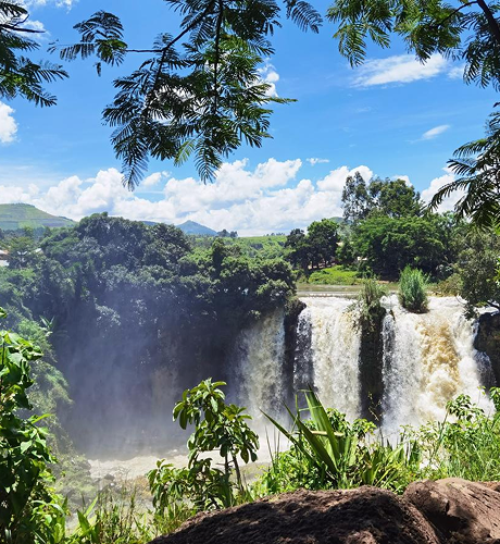 Kung Fu Hotel - Image 1